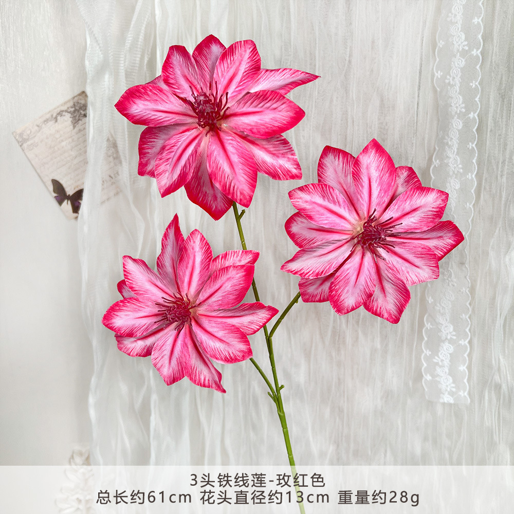MJ-3 เฮดด์เคลมาทิส - สีโรสเรด