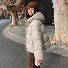 ˰ZqqŮ̿¿СpӺů