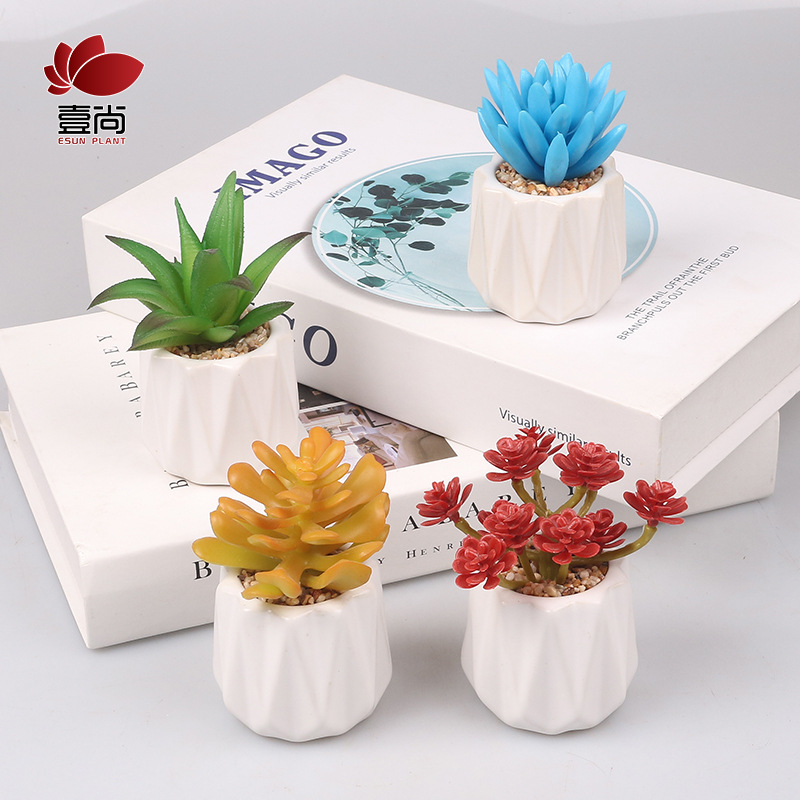 Pequeña ola al por mayor taza tipo simulación planta suculenta nórdico Muebles de Oficina Decoración fresca nuevo producto