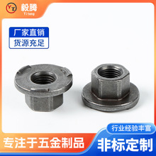 �S�����l���亸����ĸ����͹��������ĸ���ƺ�����ĸ�Ͻ����ĸ