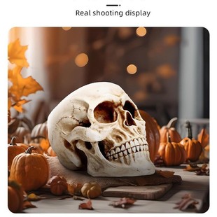 �羳�������t�^�f�}���^�ǹ�ˇƷ���Ԕ[�����Q��؛�k���Ҙ�֬�[��