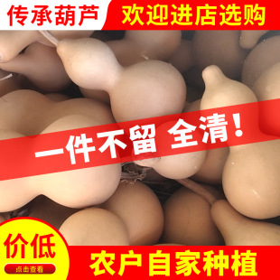 �S�ҷNֲ�غ��J �Π����΢覴�4-6 8-10 10-12���׵ؔ��������J