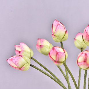 �S��ֱ�N�����ָкɻ�����ʽ�U�����޲����R�bٻ��zӰ����