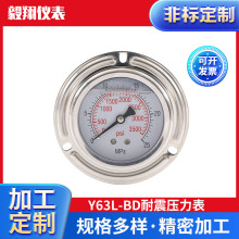 Y63L-BD���������� 304��䓵�ů�򉺱�Һ����ˮ�����ؓ���͉���