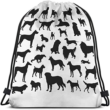 61IICRywSOS._AC_SX466_