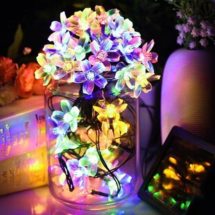 ����7��50���һ� �ѻ� ̫��ܟ����}�Q���������ƺ�bʟ���