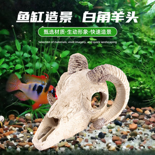 Fish Tank Landscape Decoration Horror White Horn Sheep Head Resin Fish Tank Decoration Escape House Simulation Sheep Skull Fish Tank Ornaments
