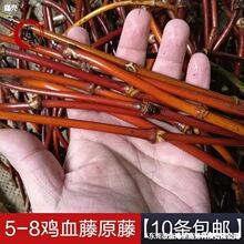 戒指原藤粗野生鸡血藤手镯藤条山南原材料裸工具手镯西藏装饰演出