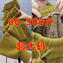 80-300斤超大码冬季新款加绒加厚保暖羊羔绒哈伦裤高腰妈妈束脚裤