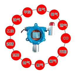 气体检测仪;安全仪器;氧气检测仪