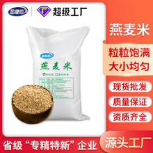 金惟他 燕麦原料 燕麦米可做奶茶原料