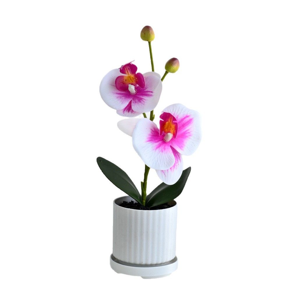 Dos flores, dos frutas, orquídeas mariposas pequeñas plantas de bonsai creativas, decoración del hogar de moda, fotografía de flores artificiales, decoración de flores de boda