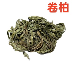 ���l���� ����߀���,ʯ��,�Ұز�ɢ�b�Q��