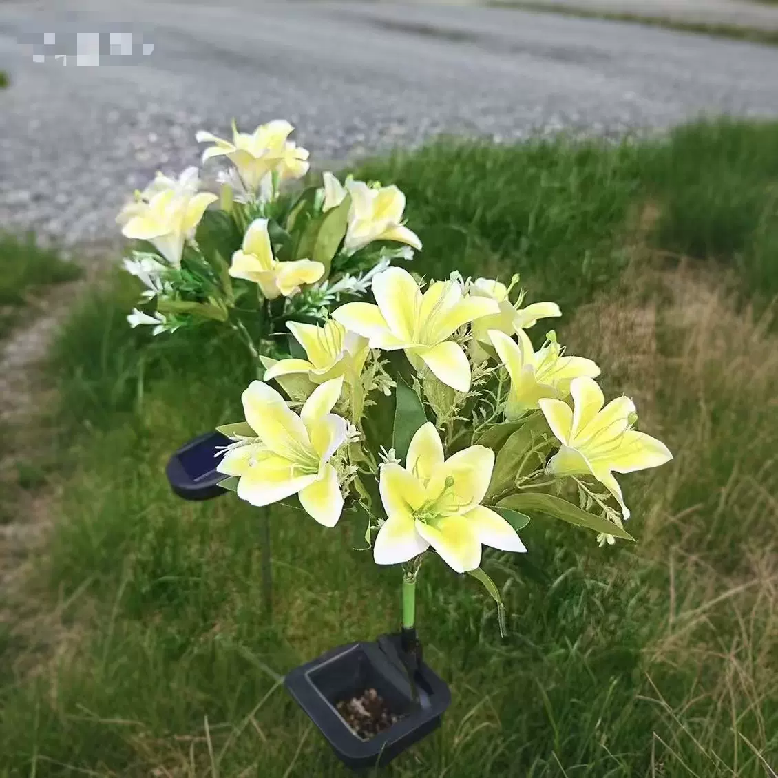 太阳能户外庭院灯仿真百合花灯地插灯花园草坪阳台景观氛围装饰灯