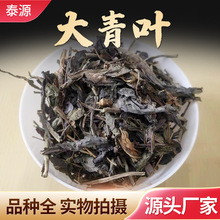 新货大青叶500g 中药材批发 现货供应 承接大货 板蓝根叶子