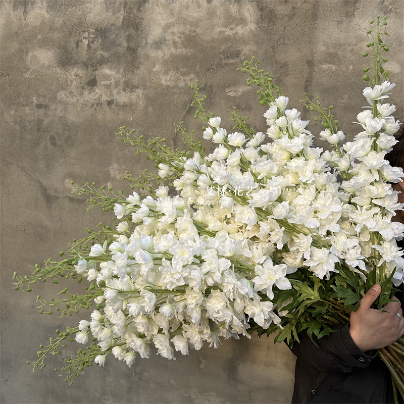 Extra large delphinium