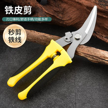 �¿�I�����FƤ���������P��p����Ǻ��ռ��F�z늾���������