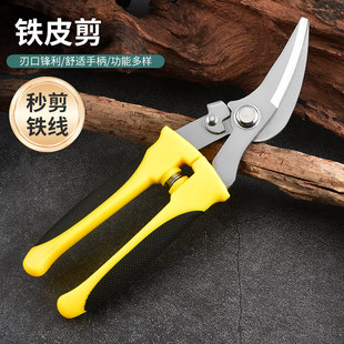 �羳�F؛���I�����FƤ���������P��p����Ǻ��ռ��F�z늾�����