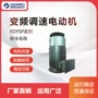 湖南湘潭变频异步电动机