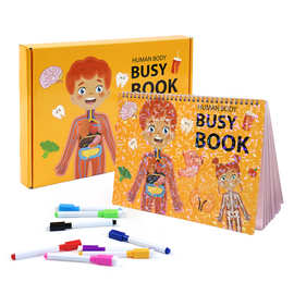 跨境蒙特梭利儿童忙碌书幼儿学前教育人体解剖感官玩具早教安静书