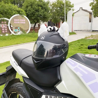 Decoration Motorcycle Helmet – Universal Auto Parts and Accessories
