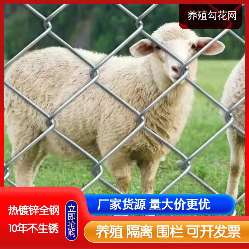 防锈热镀锌勾花网铁丝围栏球场围网农场圈地猪牛羊围栏菱形防护网