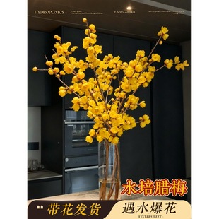 �D÷���r�����ò廨ˮ��ֲ��͏d�r�л��ܸ�֦�����滨�[�O�����L