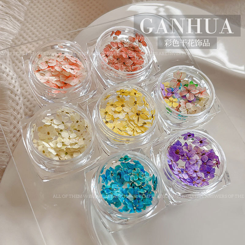 Spring Dried Flower Nail Art Decoration Materials Package, Popular Online Nail Salon Special Nail Decoration Embellishment Flowers Wholesale Spring Dried Flower Nail Art Decoration Materials Package, Popular Online Nail Salon Special Nail Decoration Embellishment Flowers Wholesale