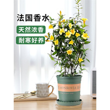 ������ˮ�������҃��ļ�������ͥԺ����ֲ����ͺ����B������