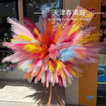 �����JȔ��������˹����߼��л�Y�������üٻ��b�ˇ���컨