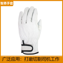 ��Ƥ˾�C����늺��ڱ��S�ҳ�Ҏ�ձ��Ᵽ����ָ���ļ��нY���@ˇ