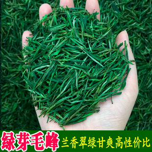 ���_�����~���lɢ�b�G��2026���²贺���Sɽ��ˇë���m������ǰ��