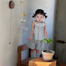 ����Ʒ��ͯװӤͯ�̸��ļ��¿�26����Ʒ��װNG19555��ɫ