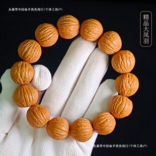 ���^�ִ��L�������������Ƥ���G���`���􌚌��ư�������