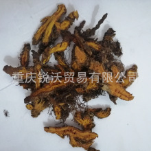 1�������l��؛��Ʒ�Ĵ��S�B���������Bԭ��,֧�B�uצ�S�B��Ƭ