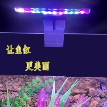 ��ױ����ˮ�ݼе�USBled�����ܳ���С�ͽ����Բ����