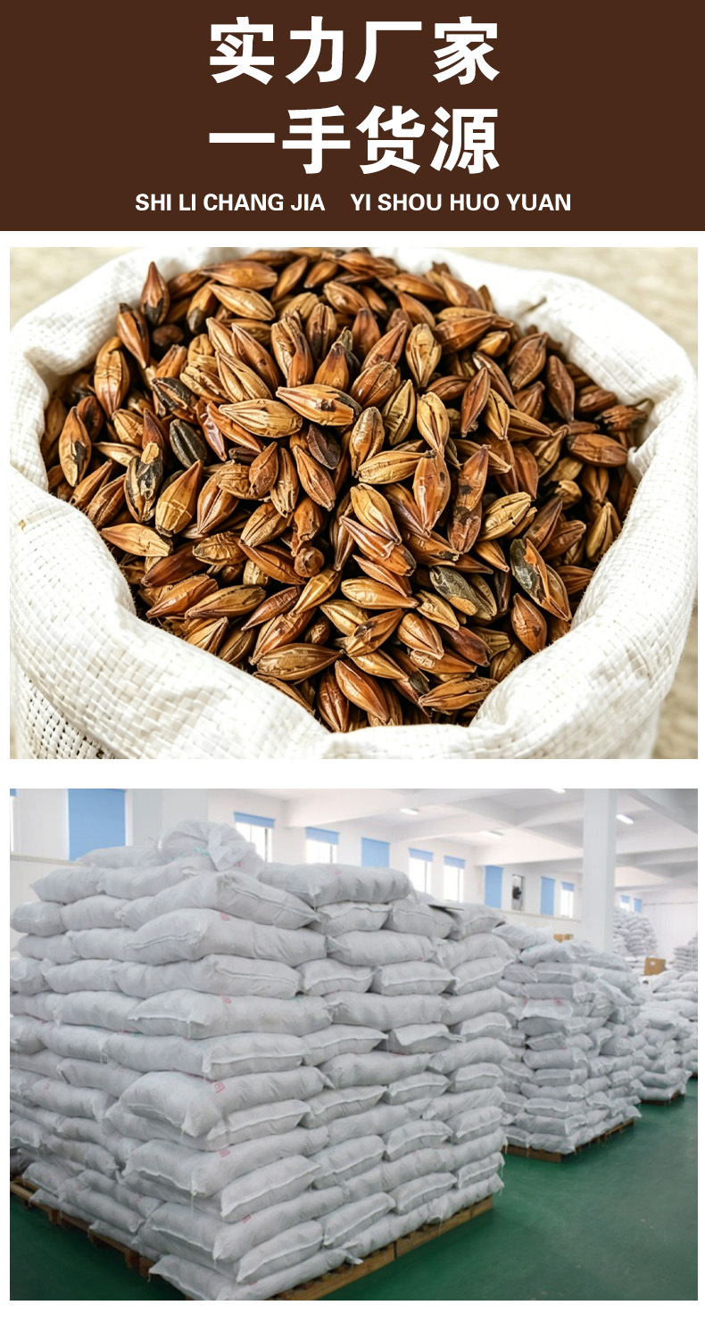 Roasted Barley Tea (Hordeum vulgare) — Low-Temperature Slow-Roasted Herbal Tea, 500g Loose specifications