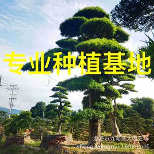 �ձ��_�h�����l ӭ���ɇ��a�_�h�ɴ��r�� �㽭�����_�h���辰