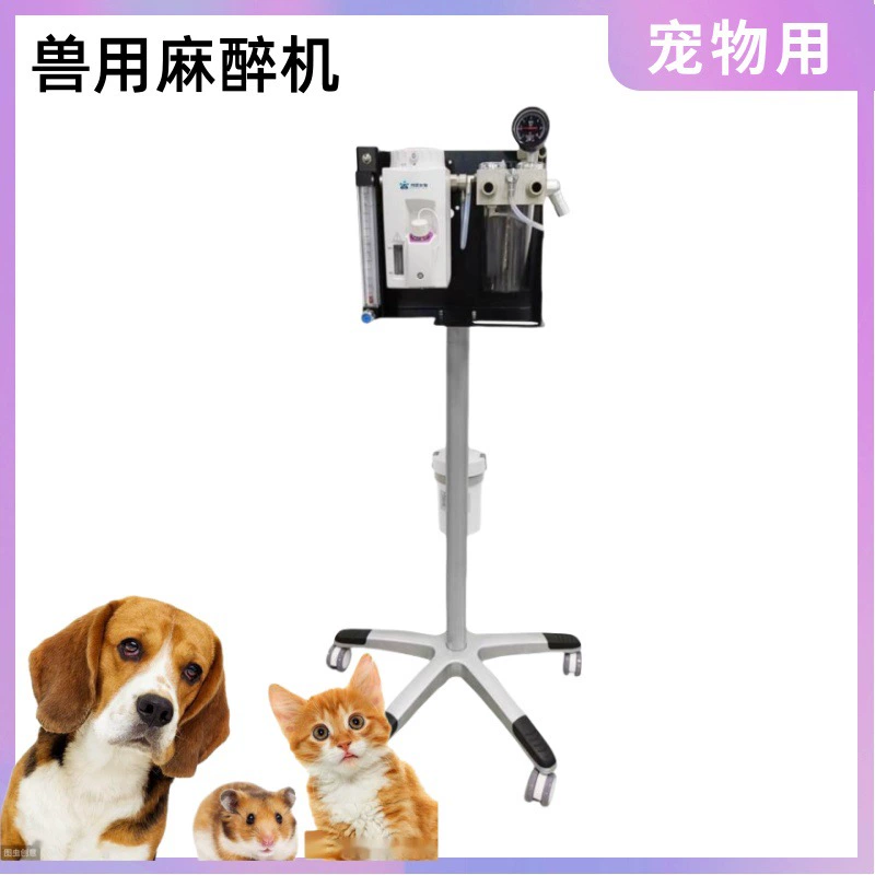 Биологический ветеринарный анестезиологический аппарат Weisi, простой портативный анестезиологический аппарат для животных, предназначенный для хирургии ветеринарной больницы, может быть трансграничным.