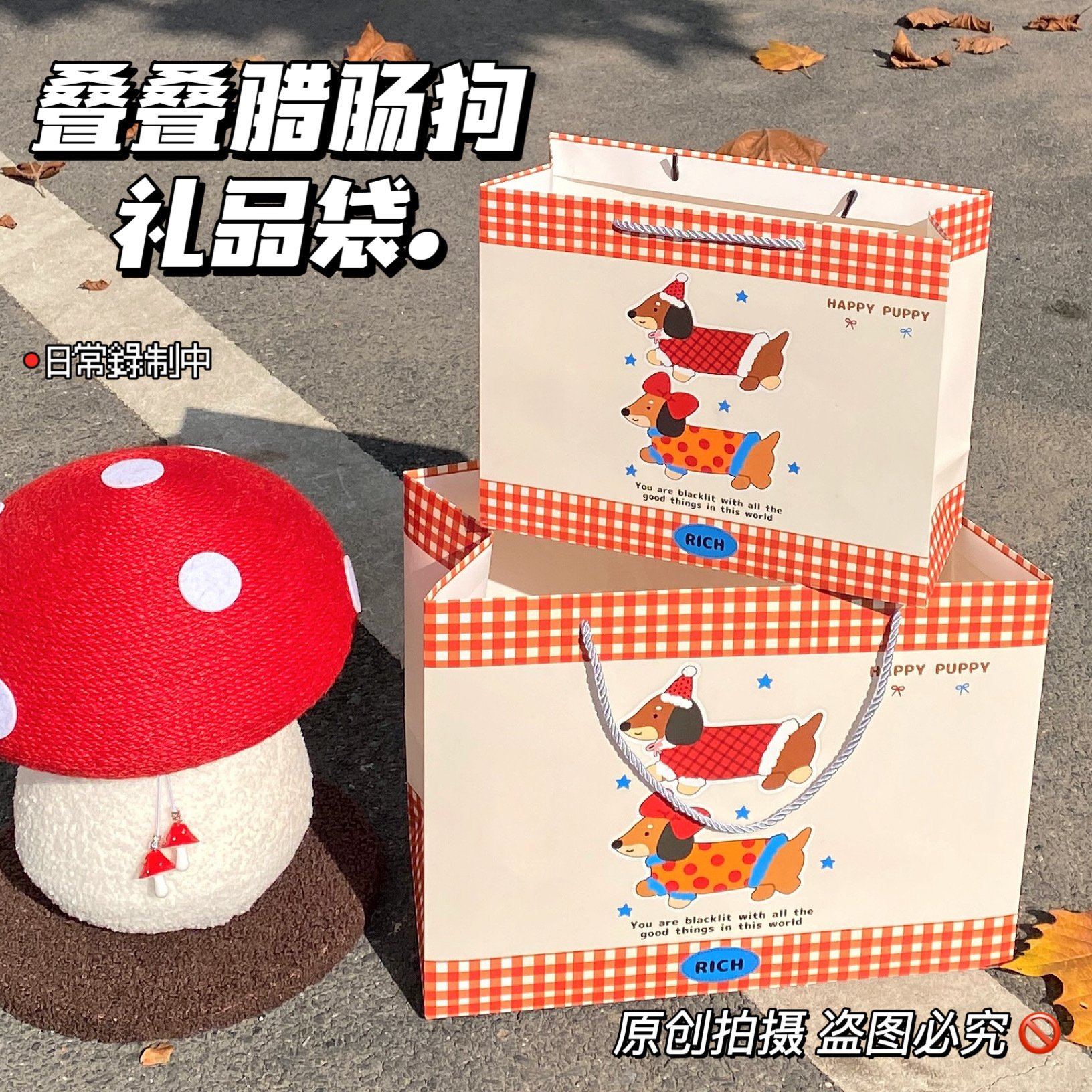 겹겹이 쌓인 닥스훈트; 흰색 판지; 대형 30*24*12cm