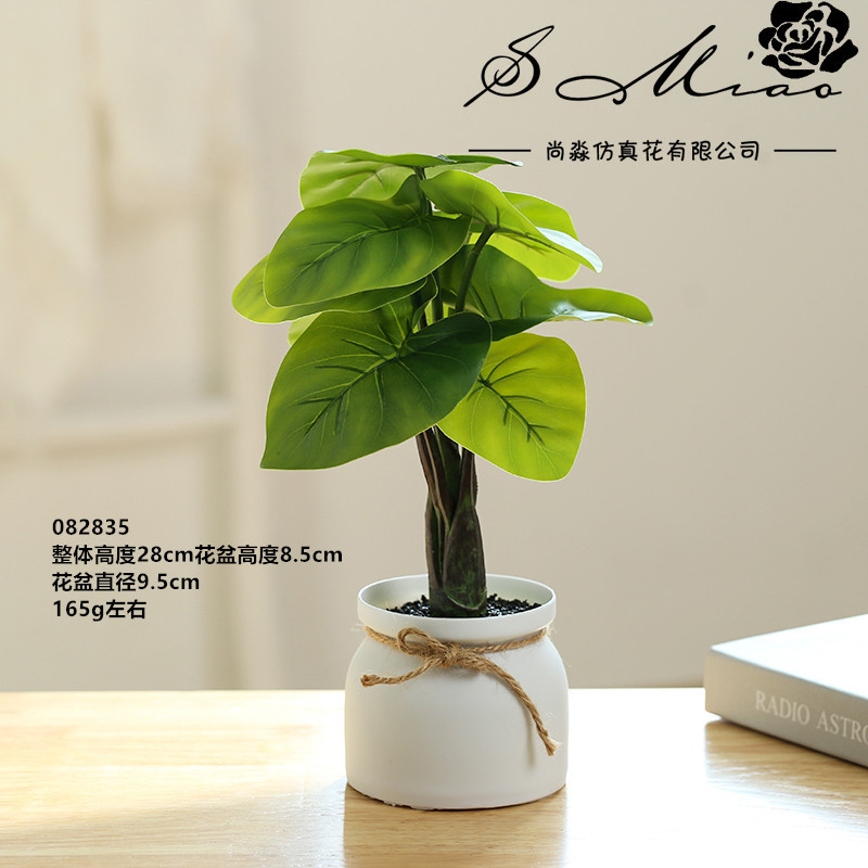 Plantas verdes 082835 ☆