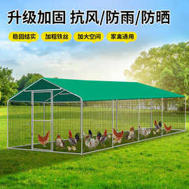 海陵区家禽批发：市场前沿动态