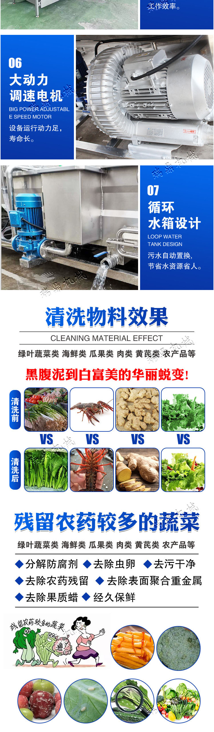 净菜加工 (4).jpg