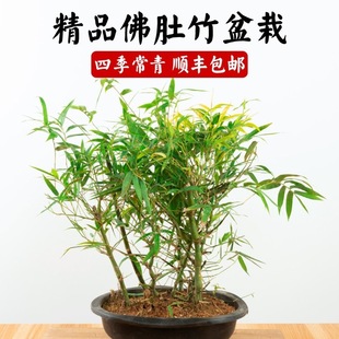 ����������Ϙ������_�h��С�辰�҃ȿ͏d�k���������ļ���������