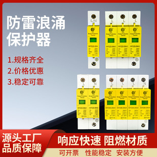 Lightning Arrester Surge Protector 20Ka Surge Protector 2P Lightning Arrester Surge Power Protector Spd Wholesale