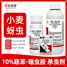 10%�����x�� �J�v����С�����x�S�ع������E�R�wľʭ�rș���x��