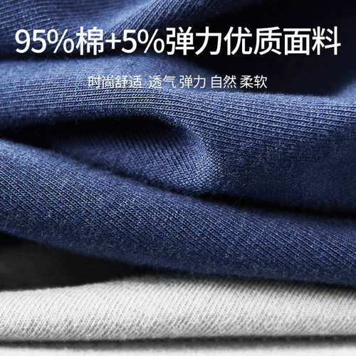 Langsha new men's pure cotton underwear 2 pack elastic cotton youth fashion student boxer briefs supermarket underwear