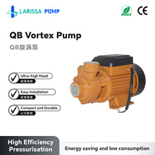 跨境专供QB Vortex Pump铸铁旋涡泵家用增压泵高扬程节能耐用
