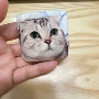 加厚双层制作毛绒胸章