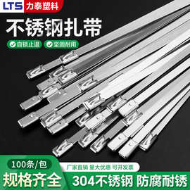 304不锈钢扎带4.6*300自锁式金属船用束线带户外耐高温绑电缆钢带